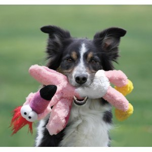 Kong Wild Knots für Hunde