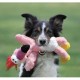 Kong Wild Knots für Hunde