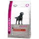 Eukanuba Labrador Retriever Hundefutter