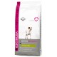 Eukanuba Adult Jack Russell Terrier Hundefutter