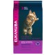 Eukanuba Kitten Huhn Katzenfutter