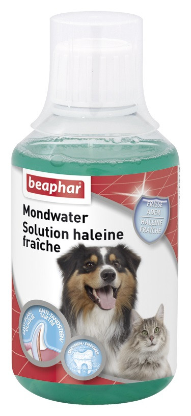 Beaphar Mundwasser für Hund und Katze