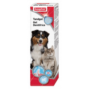 Beaphar Zahngel für Hund und Katze