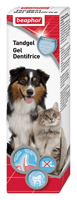 Beaphar Zahngel für Hund und Katze