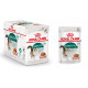 Royal Canin Instinctive 7+ Katzenfutter in Soße 12x