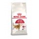 Royal Canin Fit 32 Katzenfutter