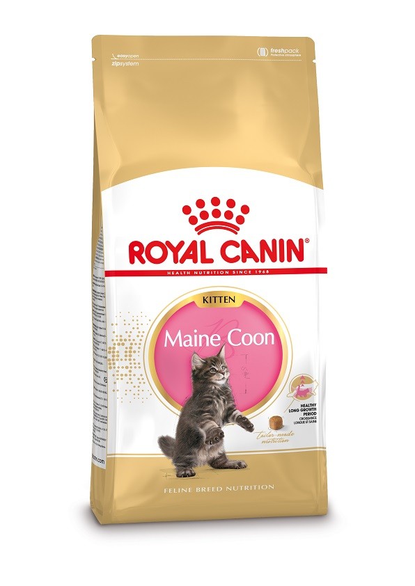 Bild von 2 x 10 kg Royal Canin Kitten Maine Coon Katzenfutter