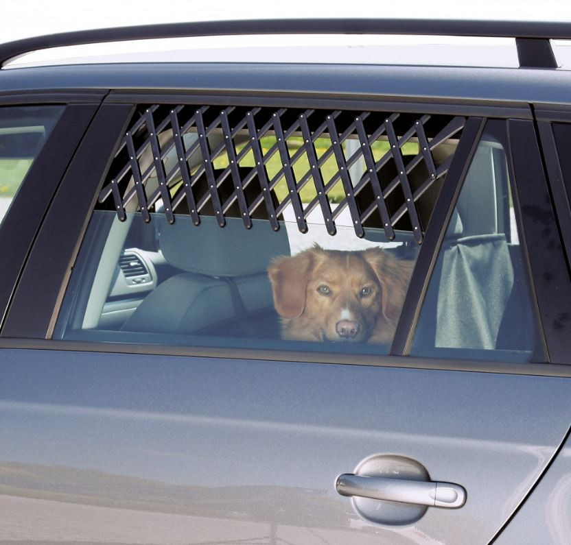 Lüftungsgitter für Fensterrahmen im Auto