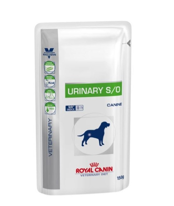 royal canin senior hund