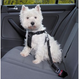 Auto-Hundegeschirr mit Leine