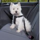 Auto-Hundegeschirr mit Leine