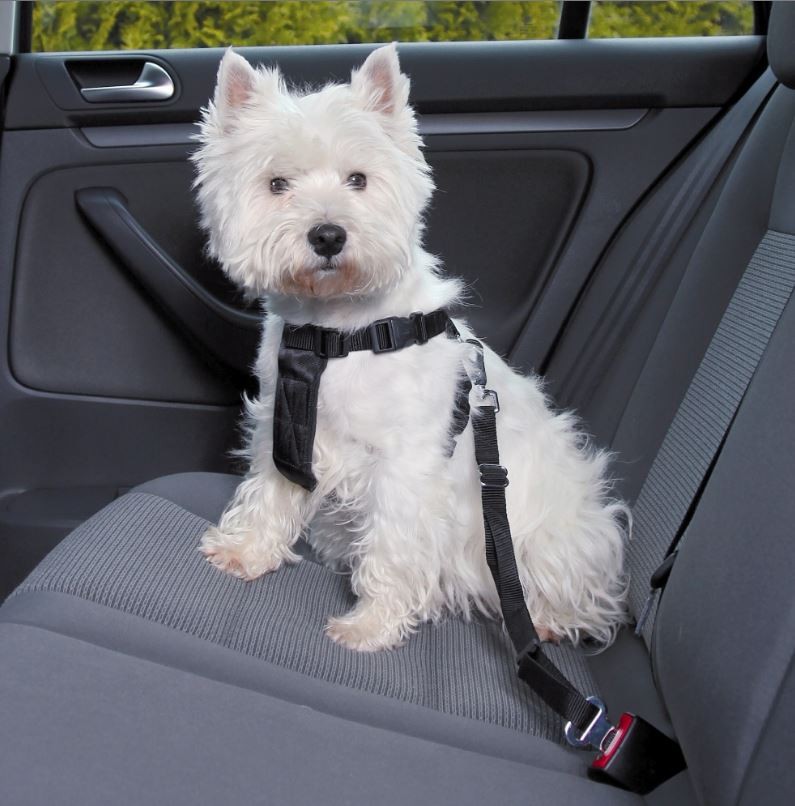Auto-Hundegeschirr mit Leine