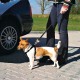 Auto-Hundegeschirr mit Leine