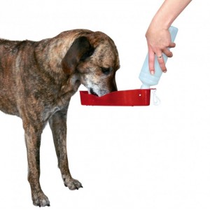 Trinkflasche unterwegs für den Hund