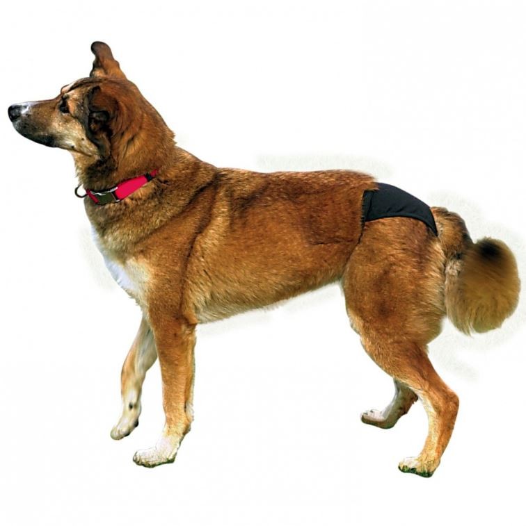 Trixie Schutzhöschen S/M für den Hund