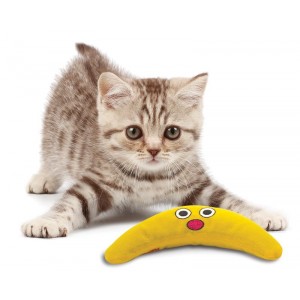 Petstages Catnip Boomerang Buddy
