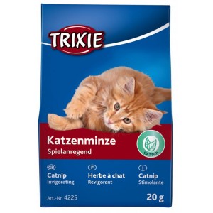 Katzenminze 20 Gramm