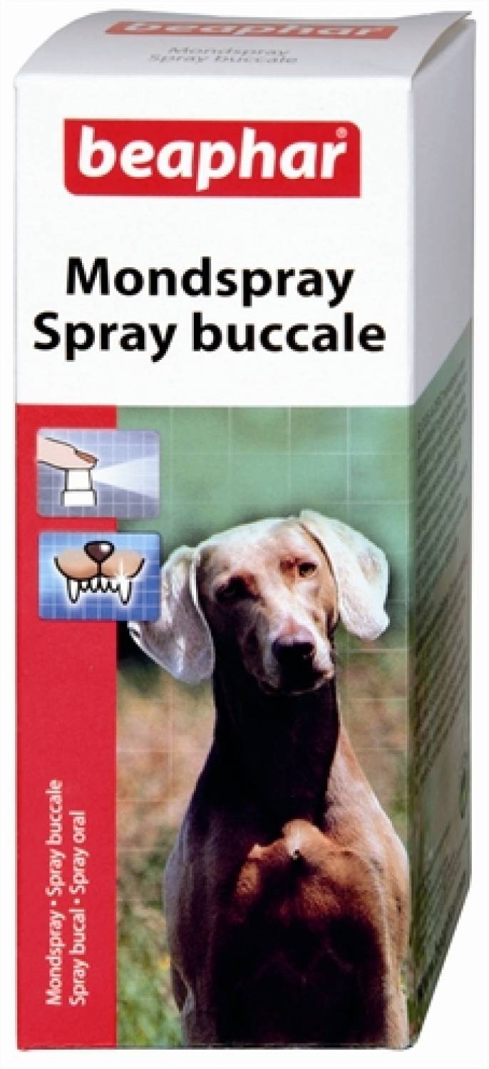 Beaphar Zahnspray für den Hund Brekz.de