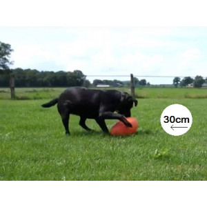 Hofman - Dog Comets Pan-Stars - Spielball 30cm