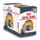 Royal Canin Intense Beauty Nassfutter Katze (85 g)