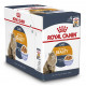 Royal Canin Intense Beauty Nassfutter Katze (85 g)