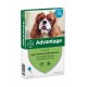 Advantage Nr. 100 Flohmittel (4 bis 10 kg) Hund