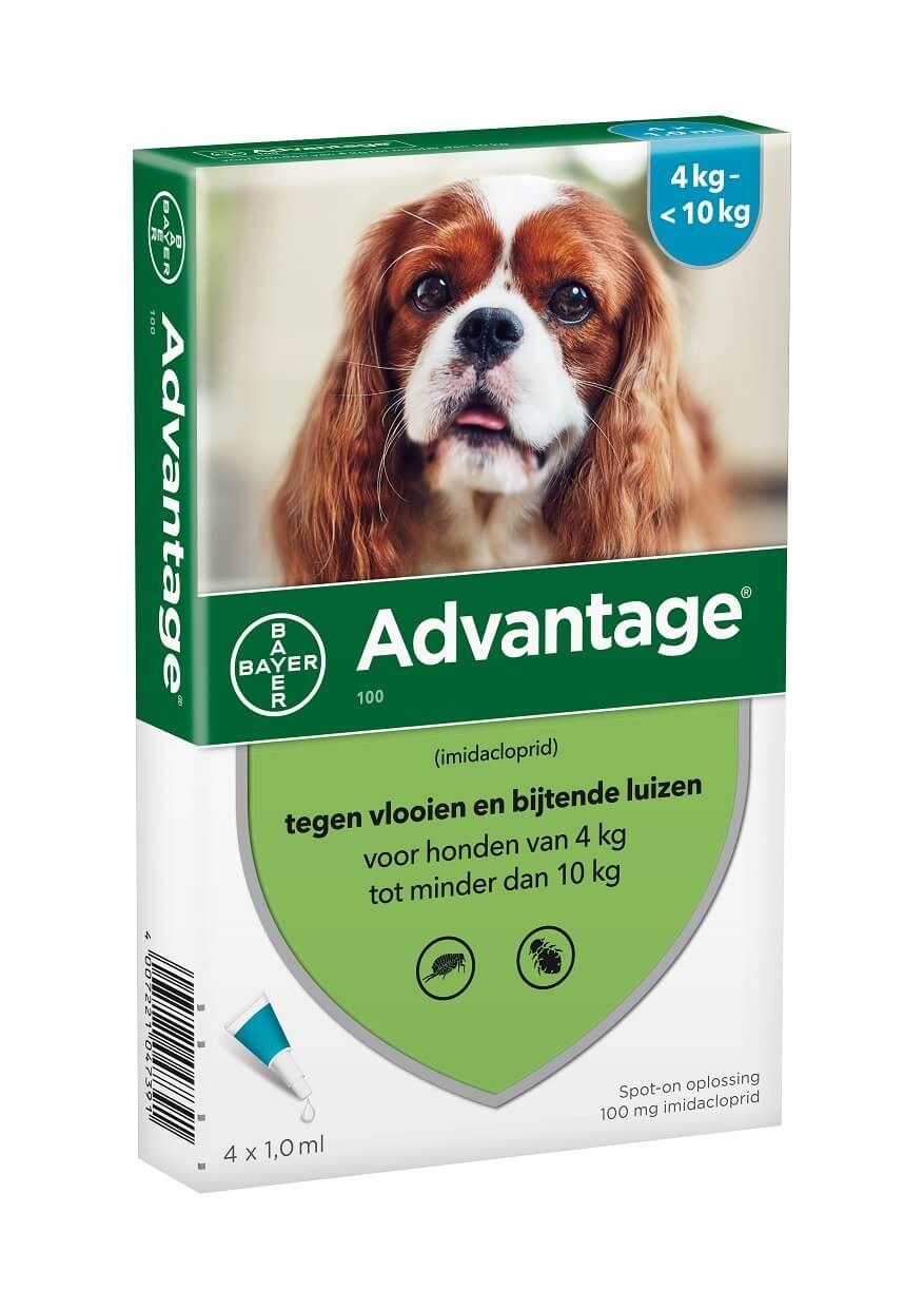 Advantage Nr. 100 Flohmittel (4 bis 10 kg) Hund