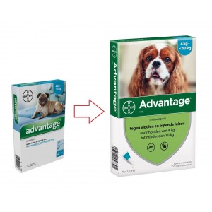 Advantage Nr. 100 Flohmittel (4 bis 10 kg) Hund
