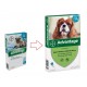 Advantage Nr. 100 Flohmittel (4 bis 10 kg) Hund
