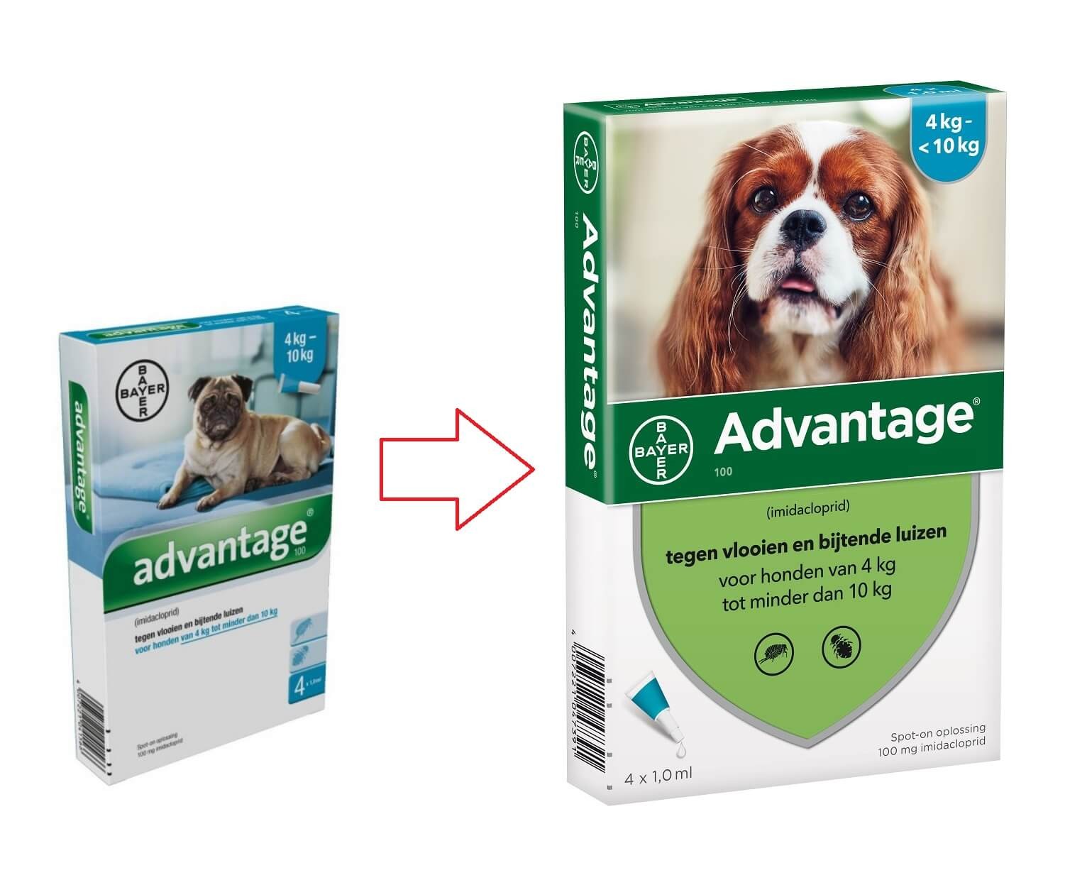 Advantage Nr. 100 Flohmittel (4 bis 10 kg) Hund