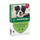 Advantage Nr. 250 Flohmittel (10 bis 25 kg) Hund