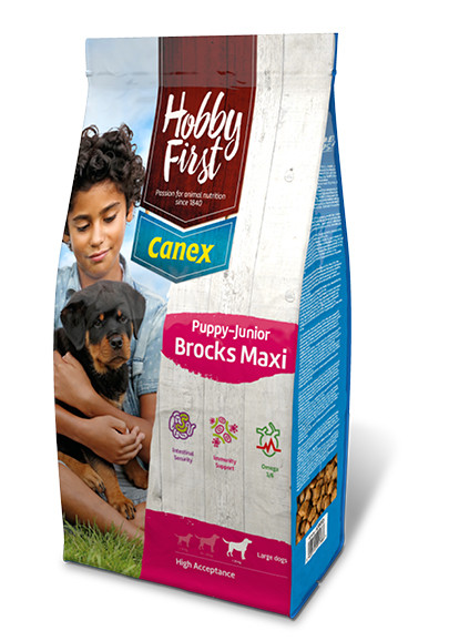 HobbyFirst Canex Puppy-Junior Brocks Maxi