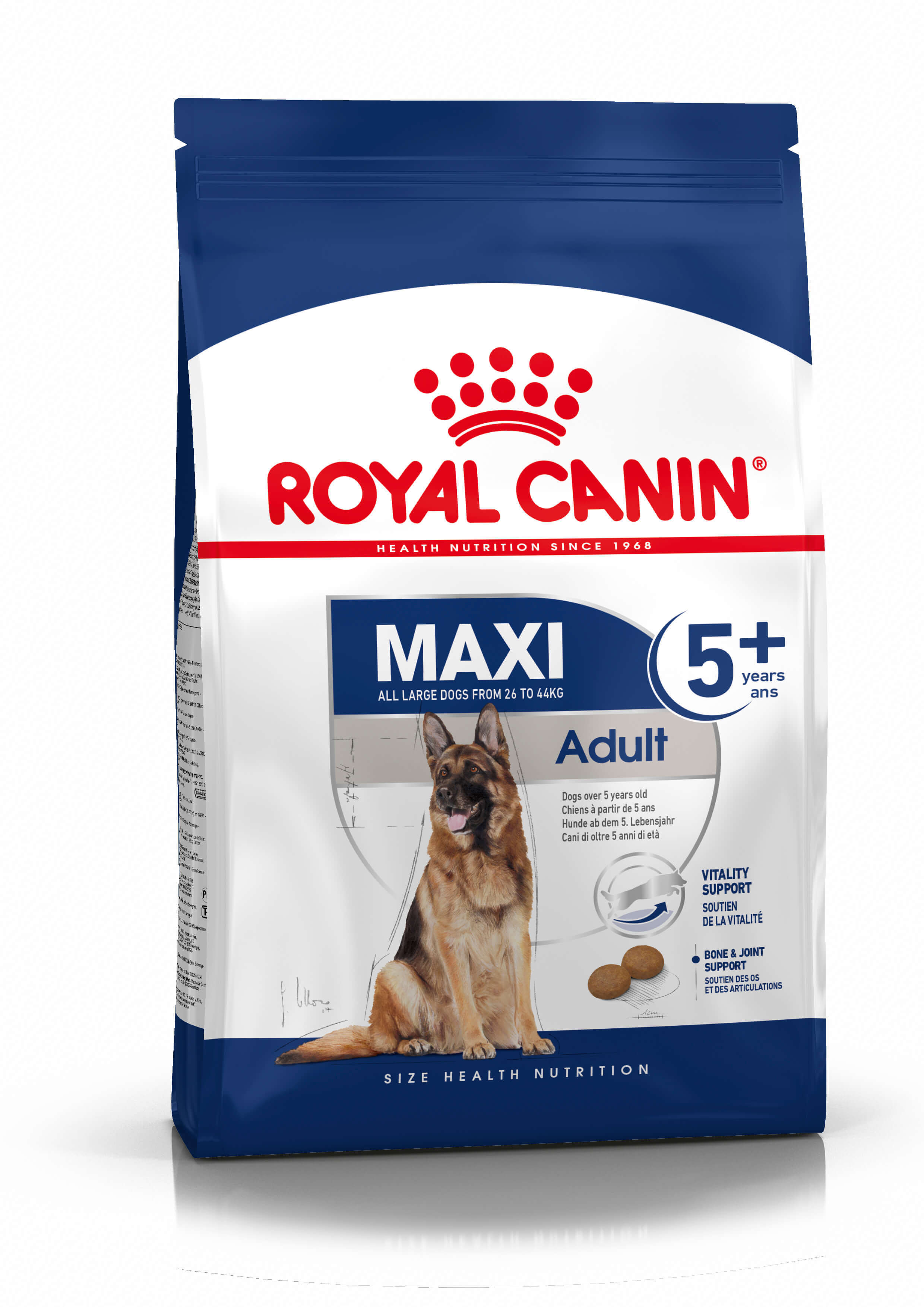 rots binnen Hangen Royal Canin Maxi Adult 5+ Hundefutter| Gesund | Günstig