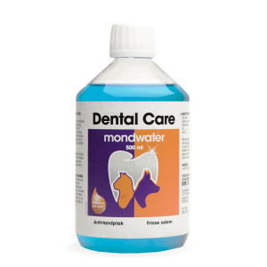 Sire Dental Care 
