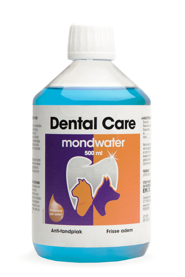 Sire Dental Care 