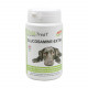 PhytoTreat Glucosamin-Extra für den Hund