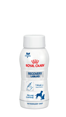 Royal Canin Veterinary Diet Recovery Liquid Hund & Katze