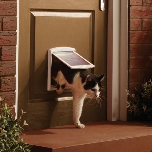 Staywell Original Small Pet Door Klappe 715