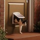 Staywell Original Small Pet Door Klappe 715
