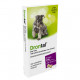 Drontal Dog Tasty 150/144/50 mg Entwurmungsmittel
