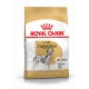 Royal Canin Adult Dalmatiner Hundefutter