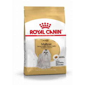 Royal Canin Adult Malteser Hundefutter