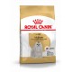 Royal Canin Adult Malteser Hundefutter