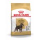Royal Canin Adult Mini Schnauzer Hundefutter