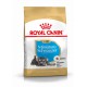 Royal Canin Miniature Schnauzer Junior Hondenvoer
