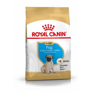 Royal Canin Puppy Mops Hundefutter