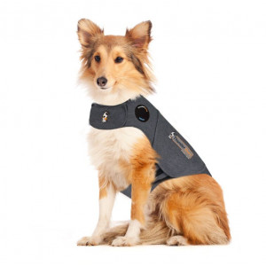 Thundershirt für Hunde