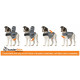Thundershirt für Hunde
