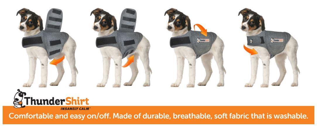 Thundershirt für Hunde