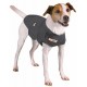 Thundershirt für Hunde